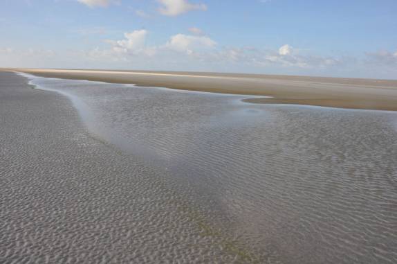 A bela Praia da Princesa na maré baixa, na região de Algodoal - PA